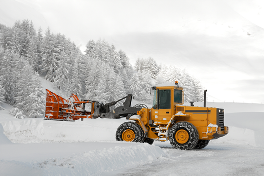 snöskottning